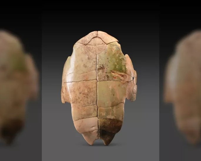 На севере Китая нашли затерянный город и сотни артефактов бронзового века